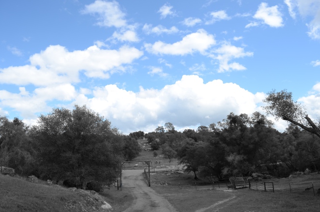 View just inside the front gate of my parents property.  Used the color select effect on this one to only pick up the blue sky.  