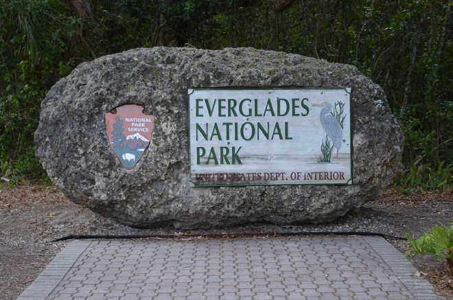 Everglandes 128